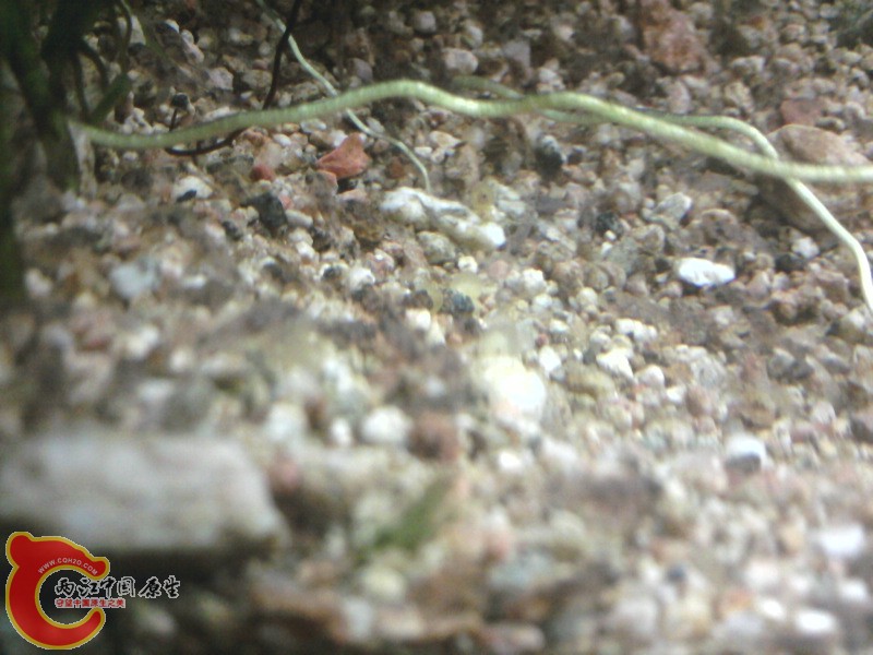 照片-0006.jpg