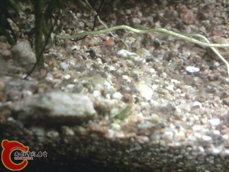 照片-0007.jpg