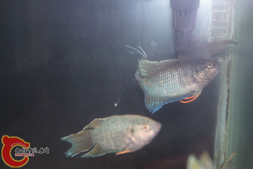 IMG_5339.JPG