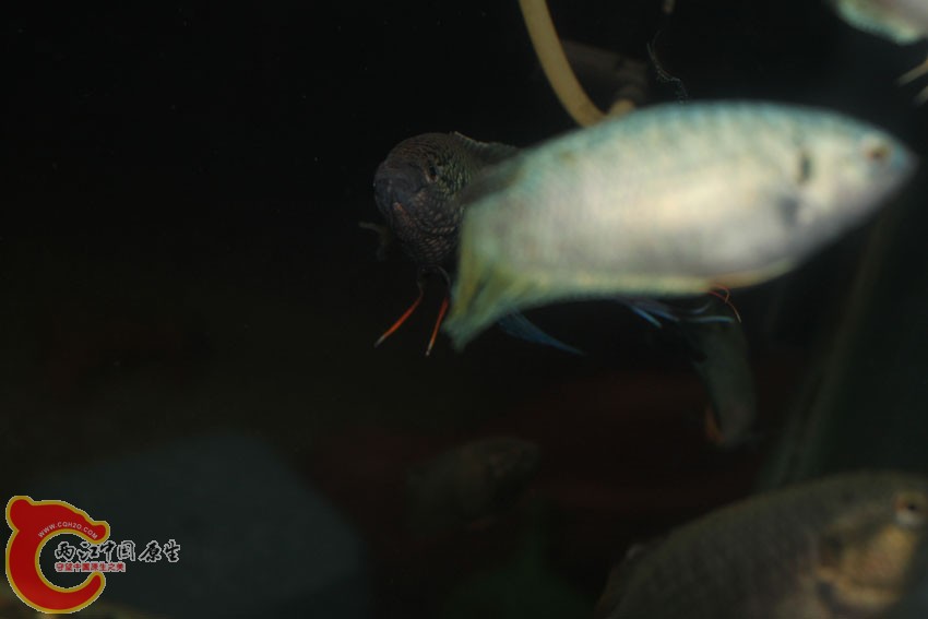 IMG_5342.JPG