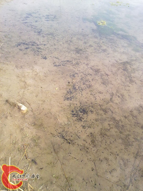 201204152490.jpg