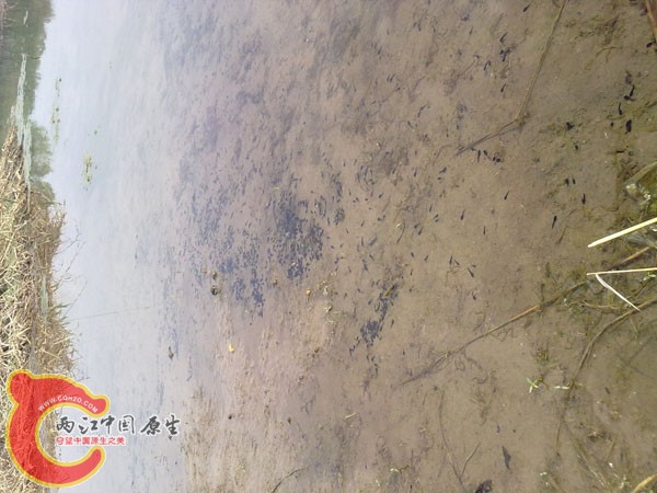 201204152492.jpg