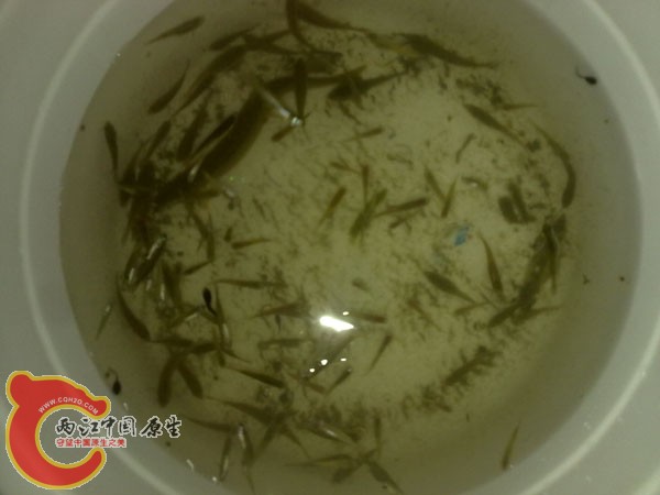 201204152496.jpg