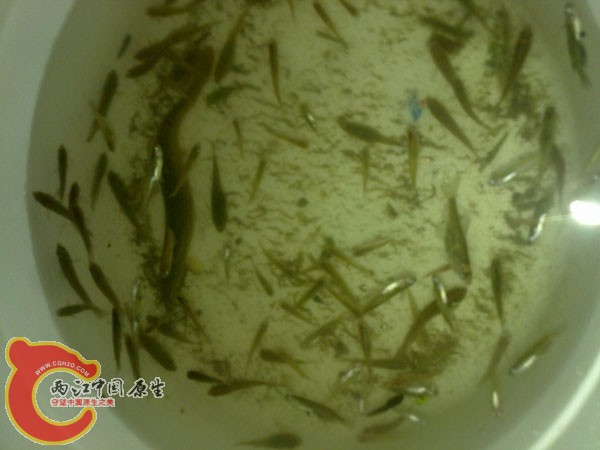 201204152497.jpg
