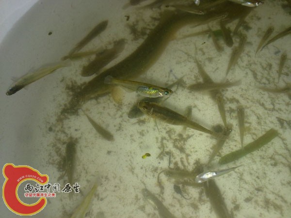 201204152500.jpg