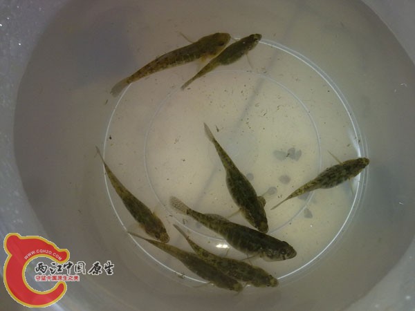 201204152509.jpg
