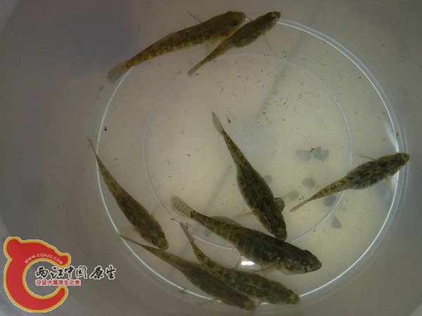 201204152510.jpg