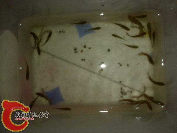 201204152511.jpg