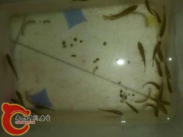201204152514.jpg