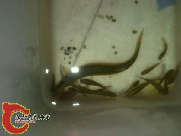 201204152515.jpg