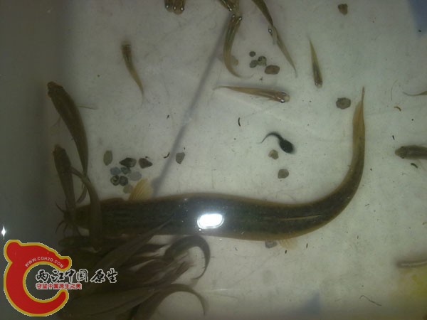 201204152517.jpg
