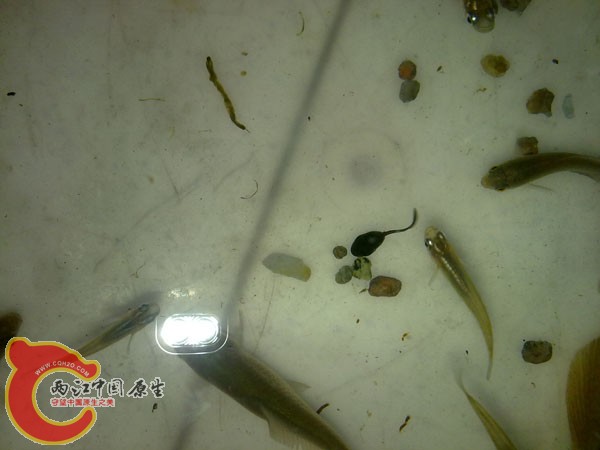 201204152519.jpg