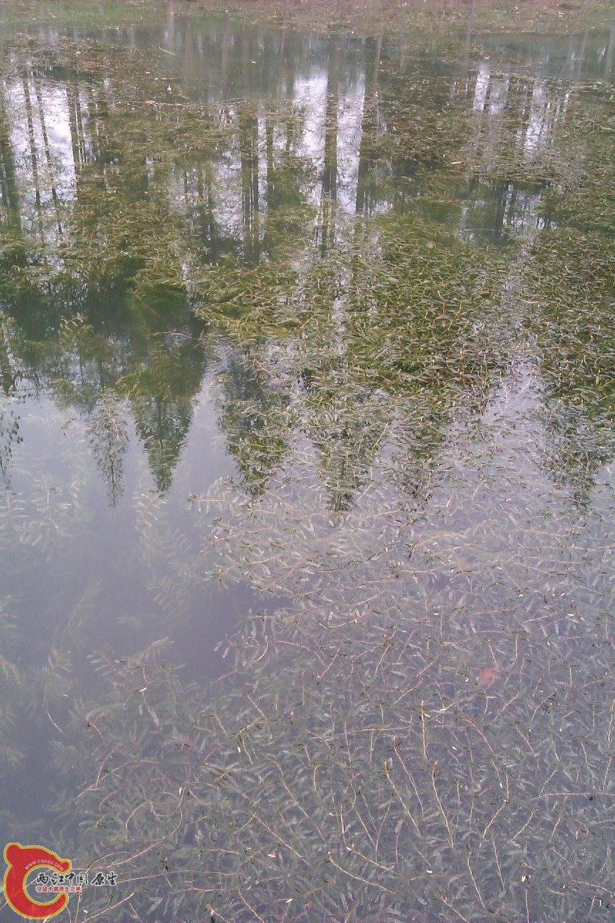 IMAG0110.jpg