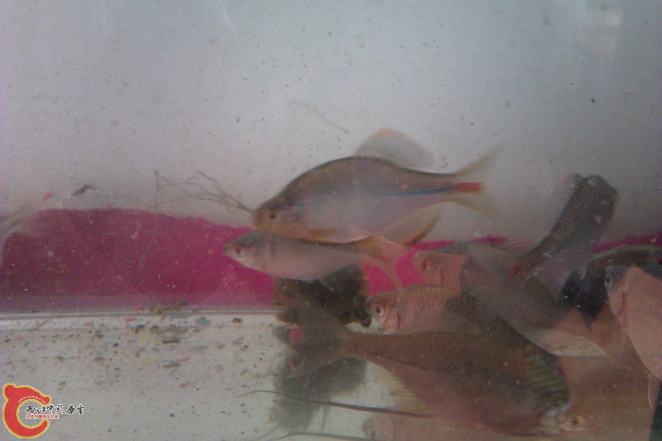 IMAG0117.jpg