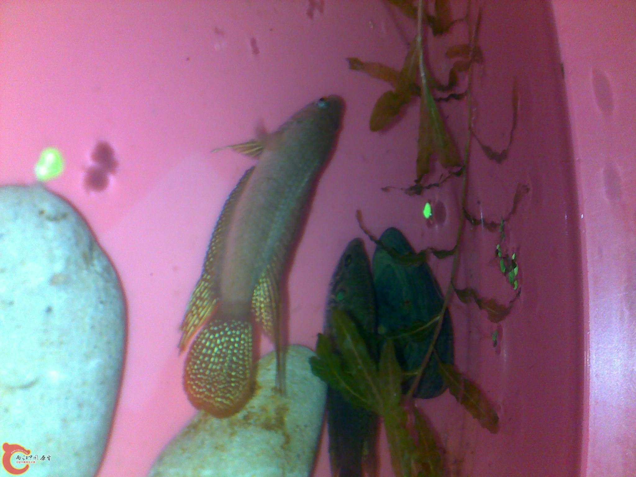 170420121898.jpg