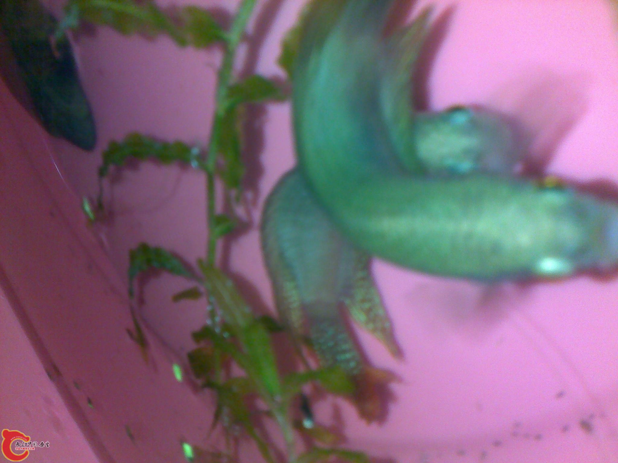 170420121904.jpg