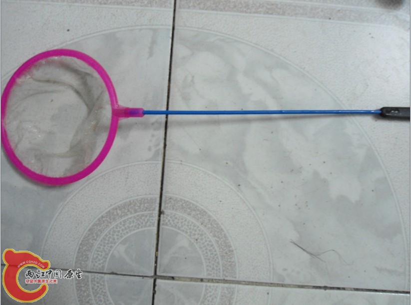 %GY8T]FM1DL~F3`1YJ1}T.jpg