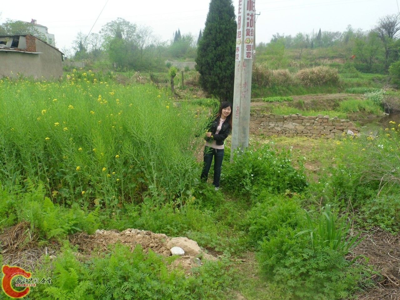 SAM_0708.jpg