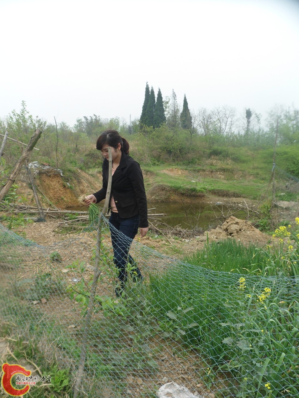 SAM_0714.jpg