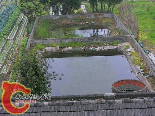 SDC12520.JPG