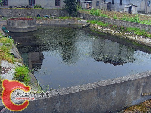 SDC12515.JPG