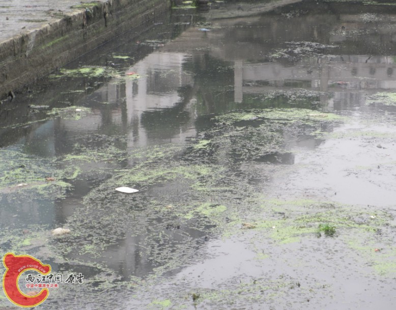 污水.jpg