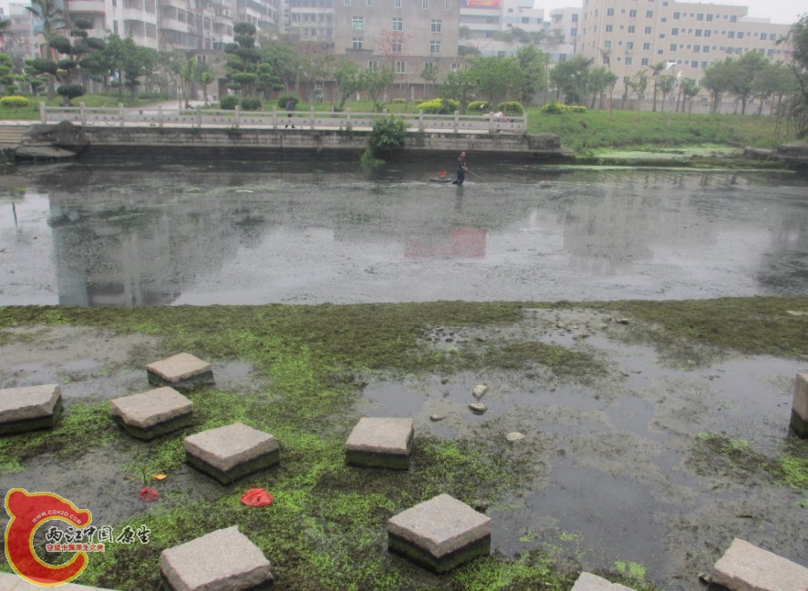 污水3.jpg