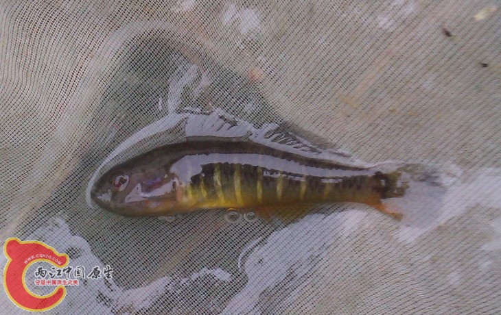 IMAG0124.jpg