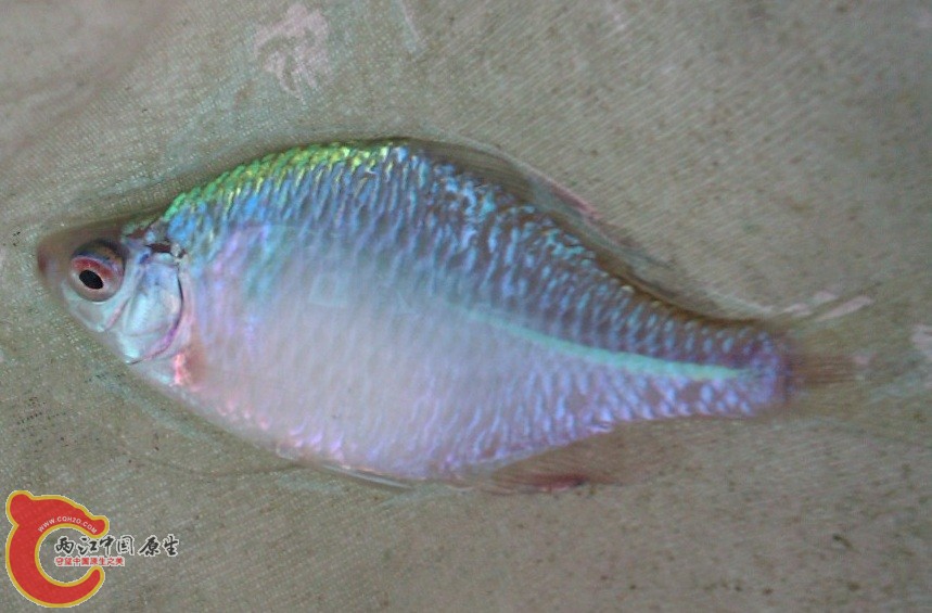 IMAG0125.jpg