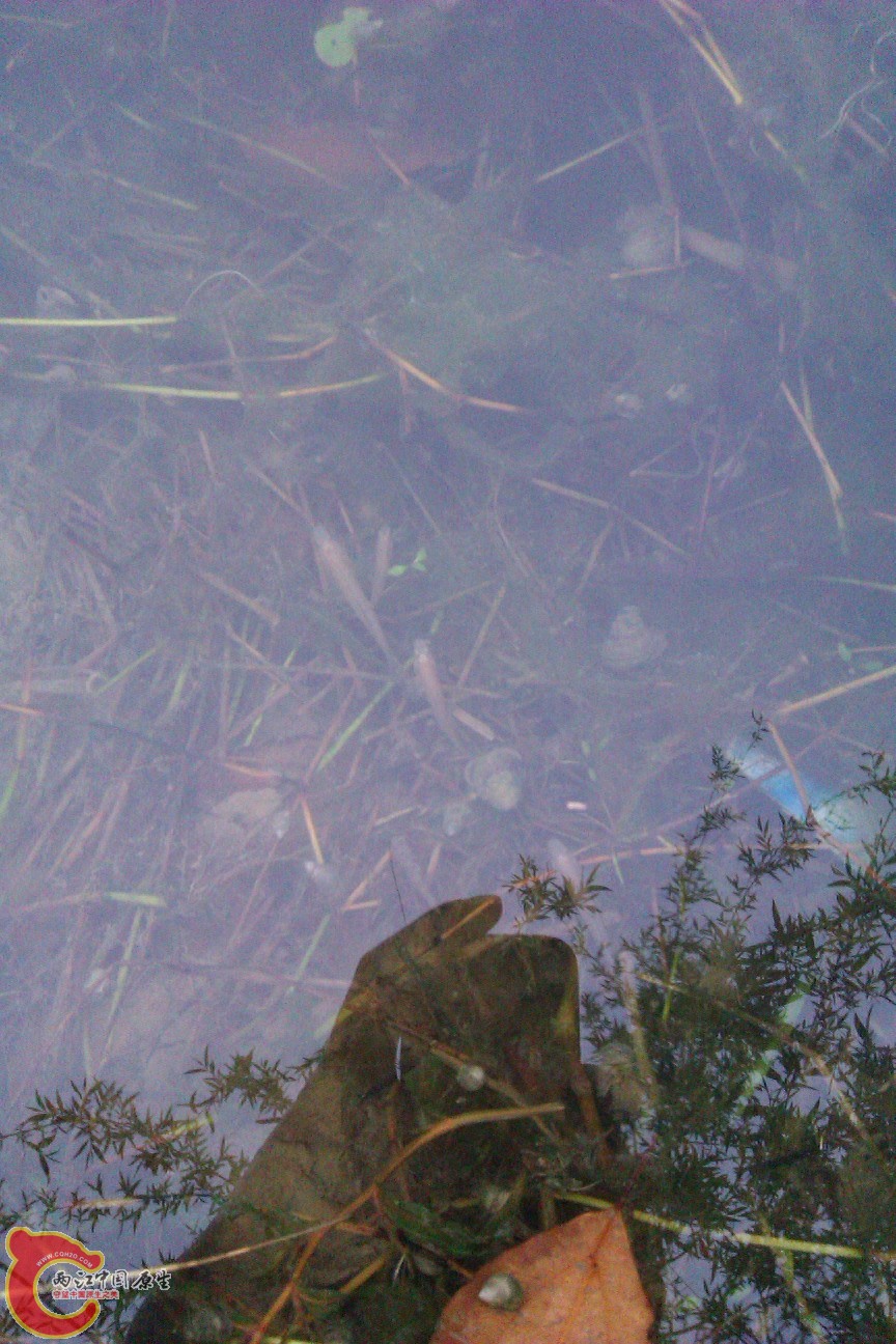 IMAG0145.jpg
