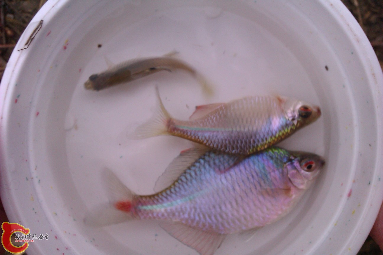 IMAG0149.jpg