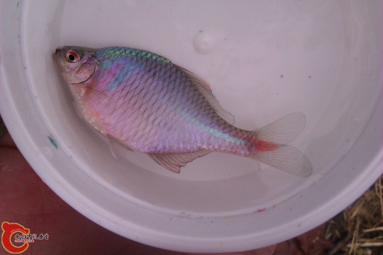 IMAG0156.jpg