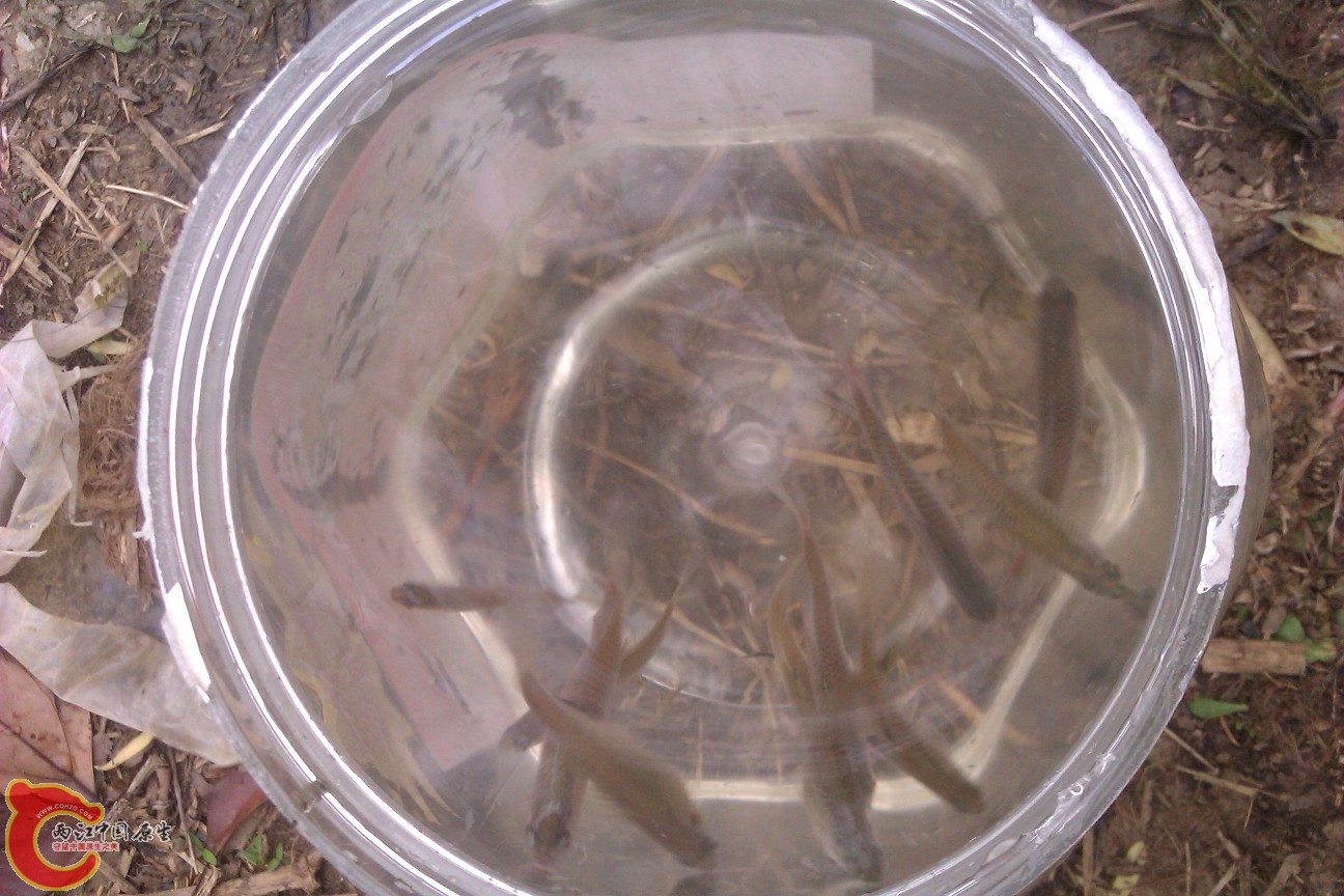 IMAG0168.jpg