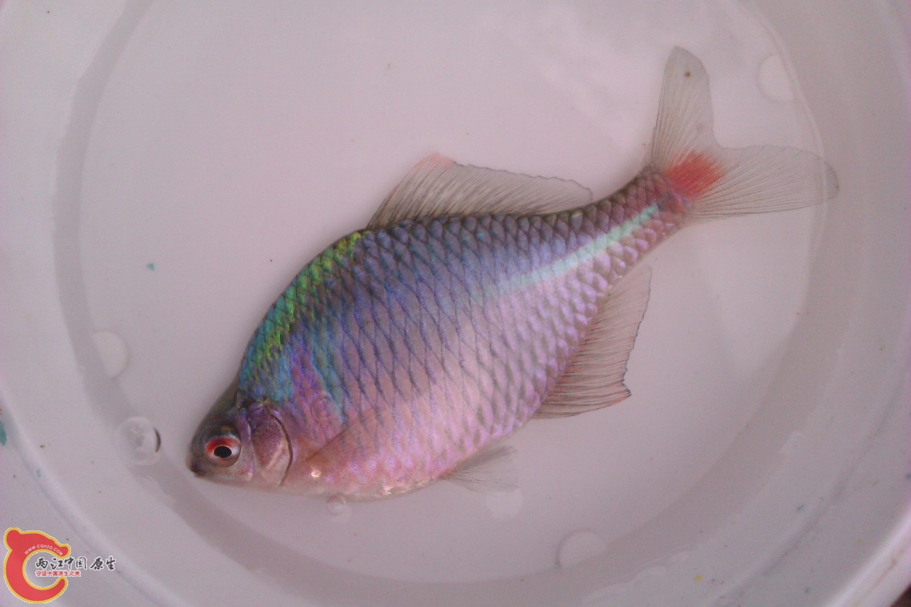 IMAG0165.jpg