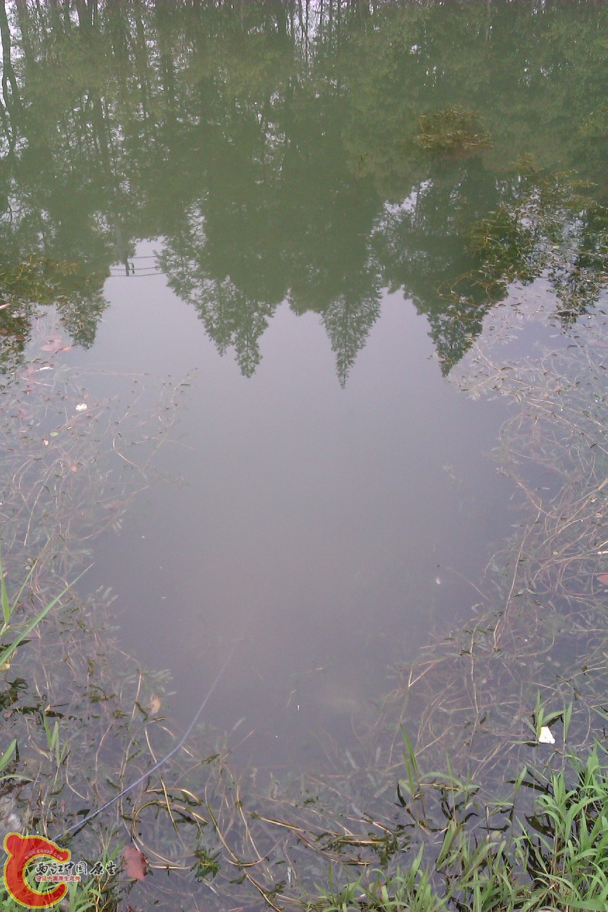 IMAG0169.jpg