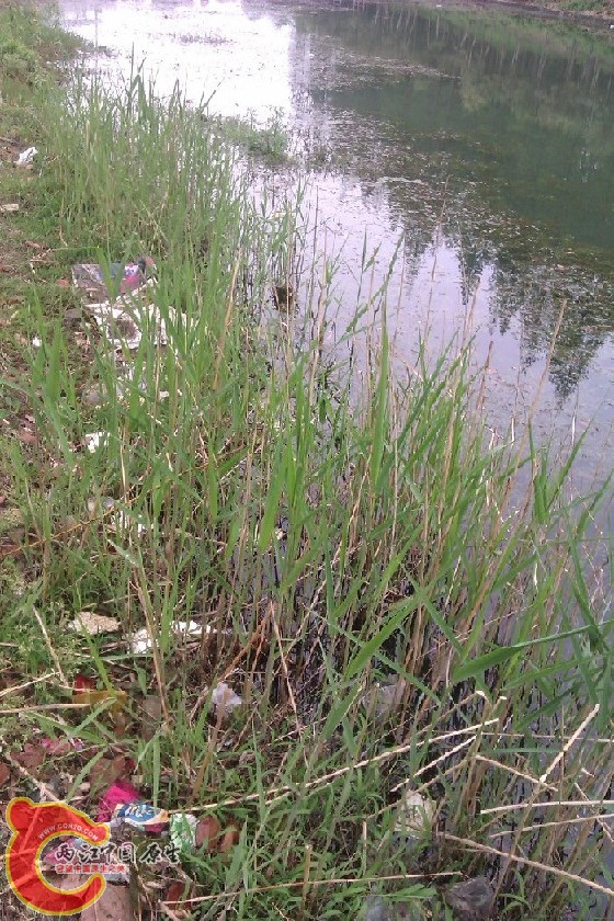 IMAG0170.jpg