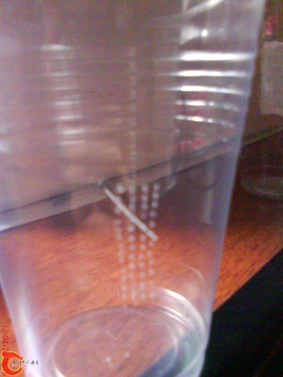 DSC03346.JPG DSC03346.JPG