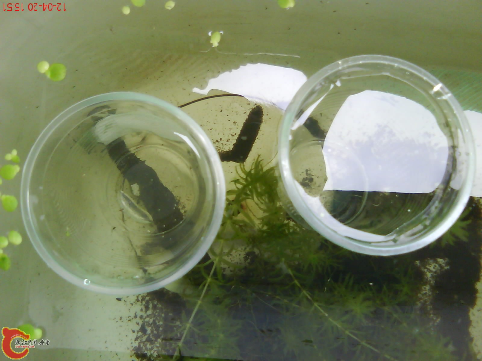 DSC03349.JPG DSC03349.JPG