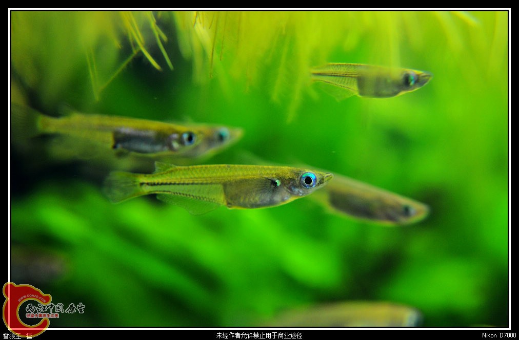 DSC_8849.jpg