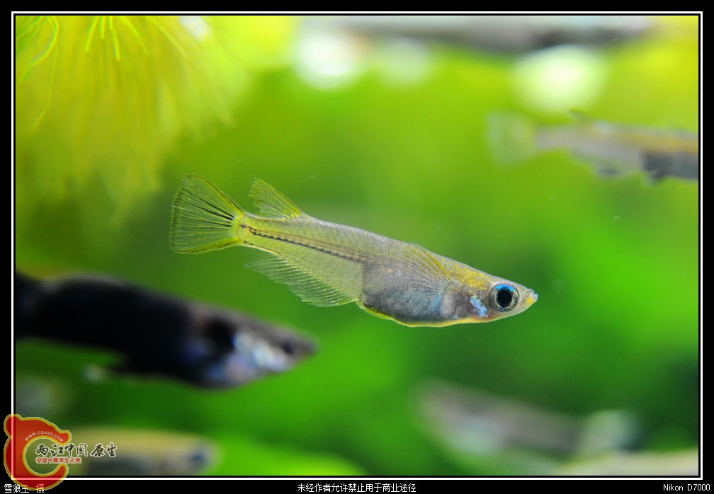 DSC_8857.jpg