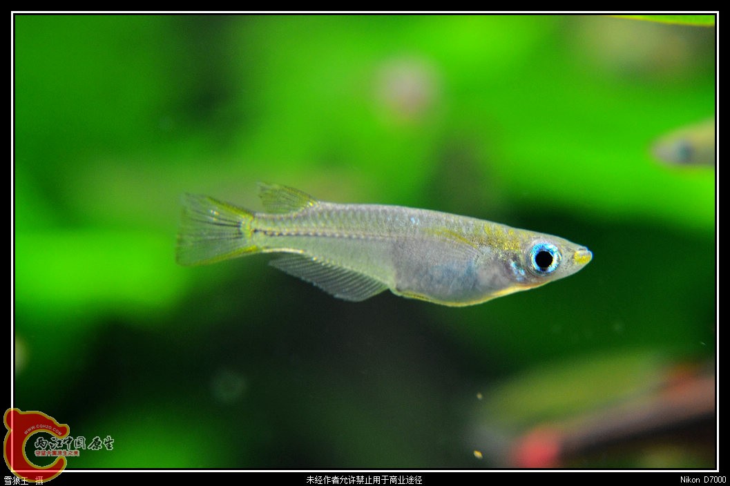 DSC_8874.jpg