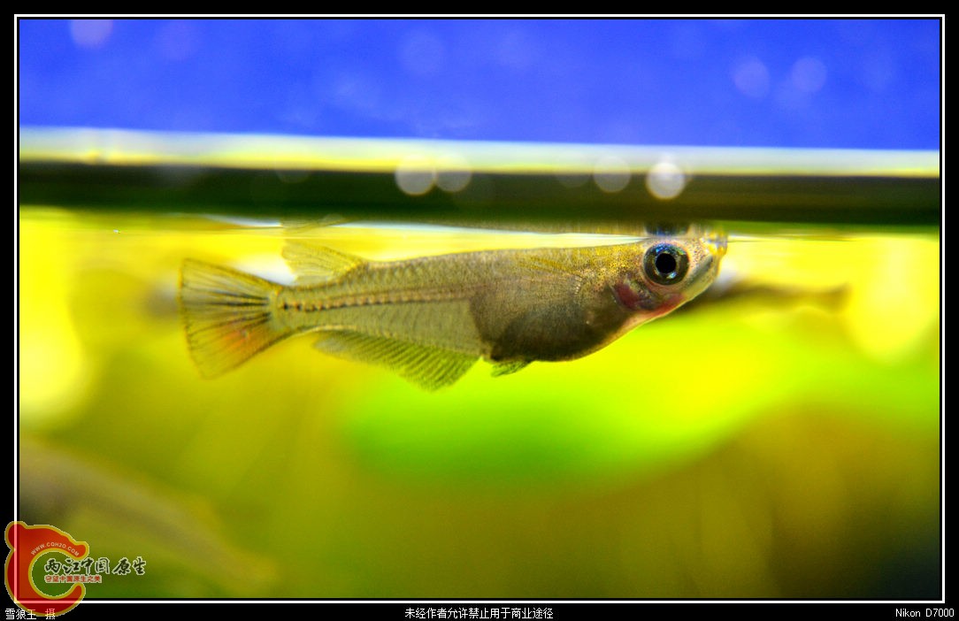 DSC_8898.jpg