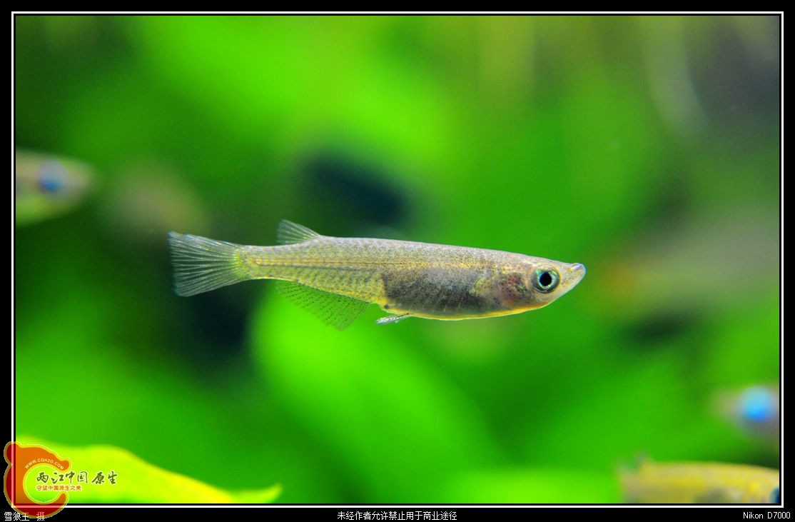 DSC_8892.jpg