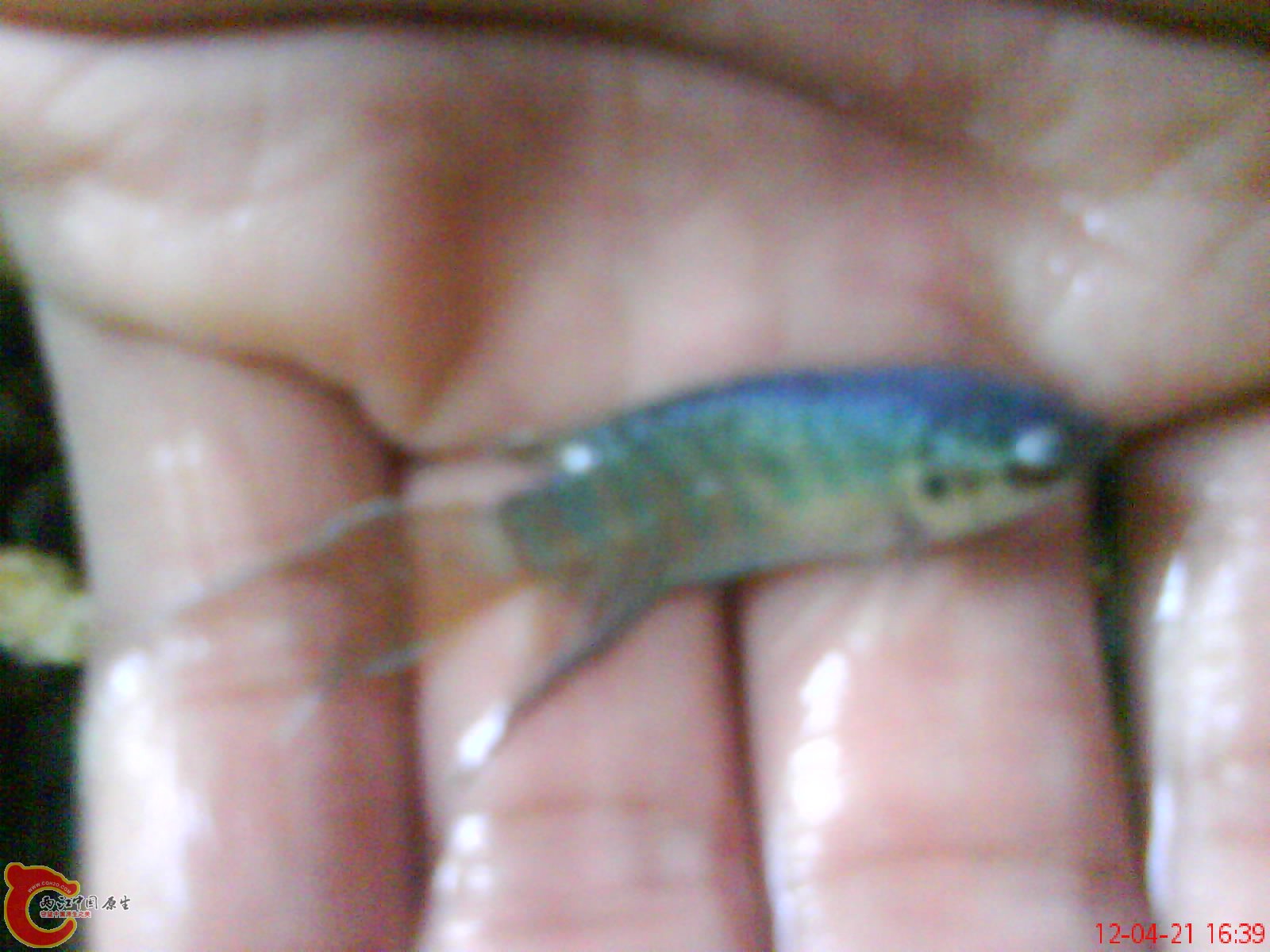 DSC03354.JPG