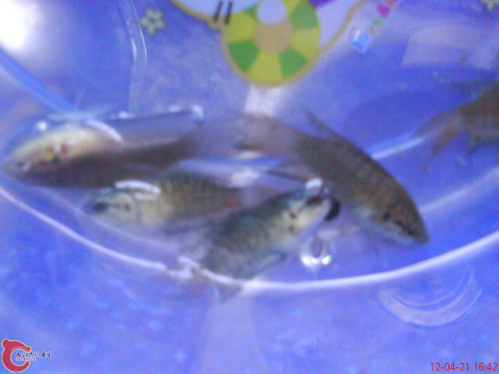 DSC03356.JPG
