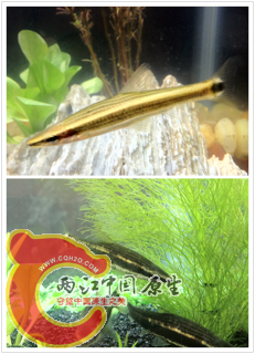 照片.JPG