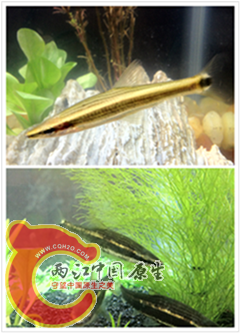 照片_副本.png