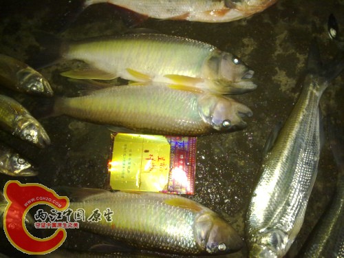 未命名1.jpg