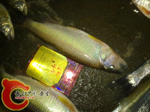 未命名3.jpg
