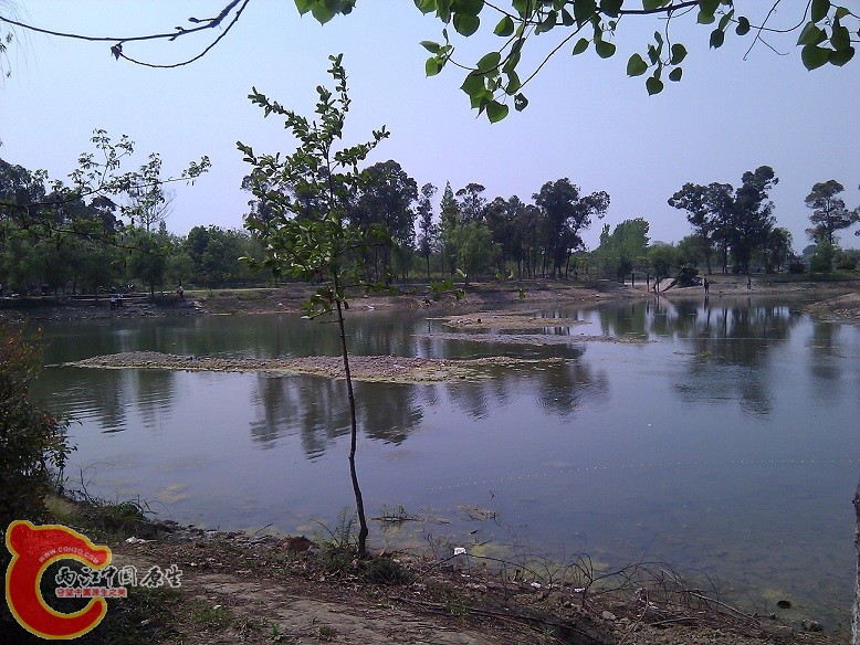 WP_0000021.jpg